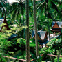 Amanpuri Resort, Pansea Beach, Phuket Island, Thailand
