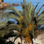 Art Hotel Atelier sul Mare, Castel di Tusa, Sicily, Italy
